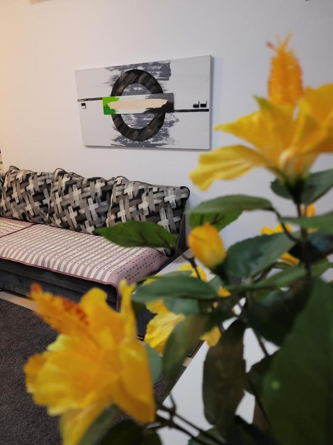 Cozy Park Residences 5 Bucarest Esterno foto